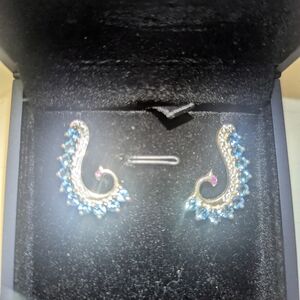 Elegant Blue and Silver Earrings